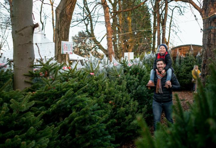 Kieler Wintermärkte und Weihnachtsbaumverkauf