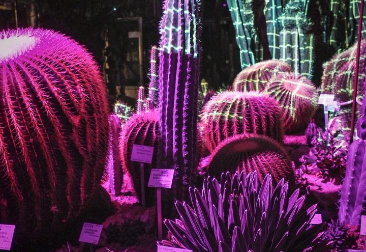 Botanischer Garten leuchtet in allen Farben