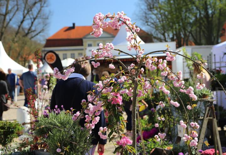 Das geht an Ostern in Kiel