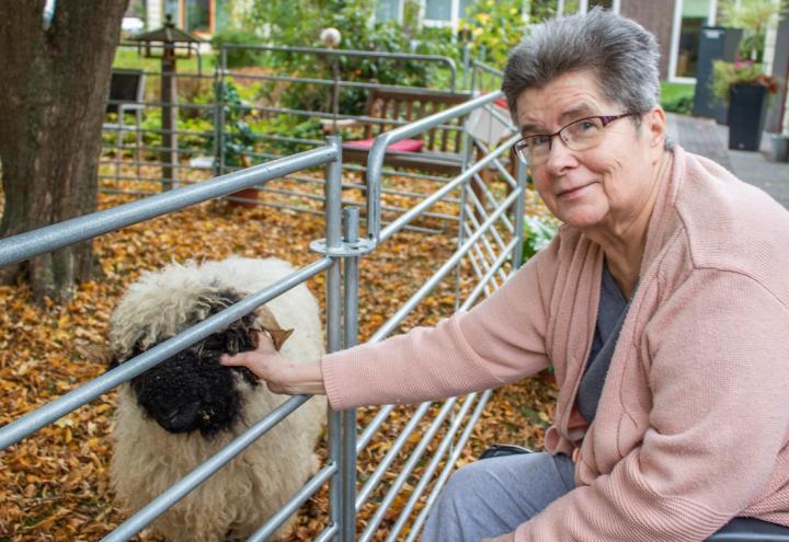 Tierischer Besuch im Seniorenheim