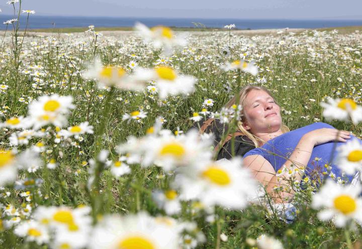 Naturgenussfestival: Facettenreich und bildend