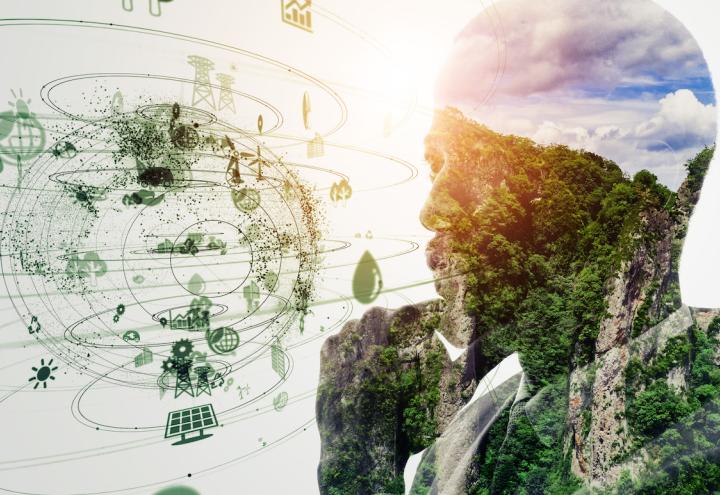 Nachhaltigkeitspreis Schleswig-Holstein: Das sind die ausgezeichneten Projekte 