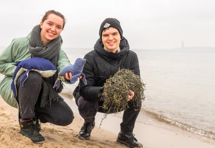 „Meergut": Sie fertigen Kuscheltiere aus Seegras