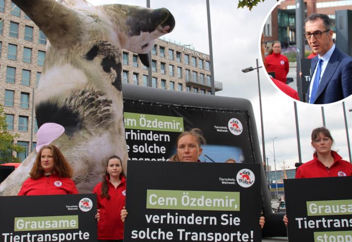 Cem Özdemir äußerte sich in Kiel zu Kritik an Tiertransporten