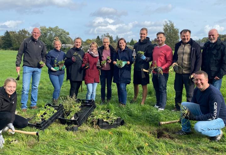 1.000 seltene Wildblumen für Molfseer Delfswiese