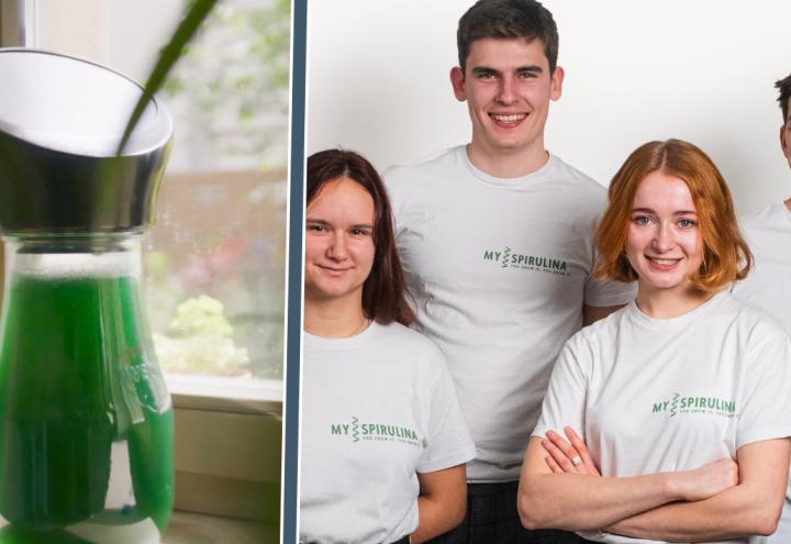 Startup „MySpirulina": Essen wir bald alle Mikroalgen?