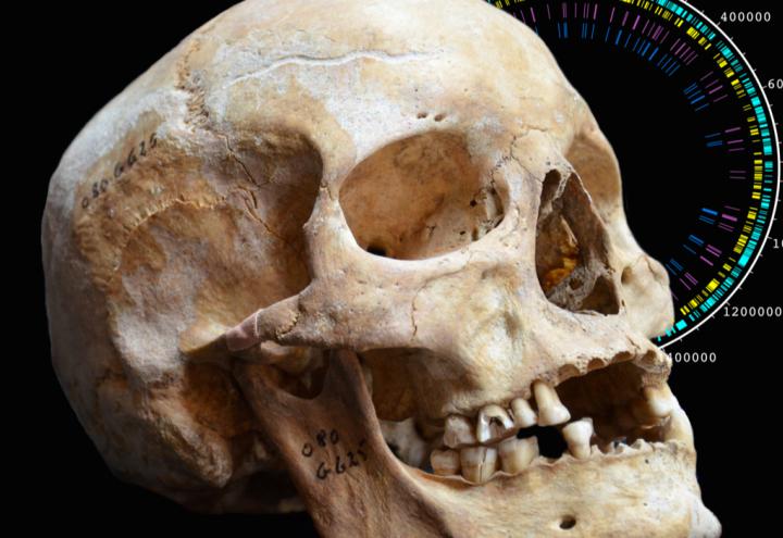 Lepra – neue Einblicke mit Hilfe der „alte DNA“-Forschung 