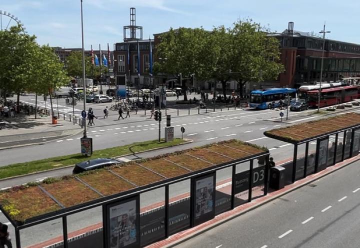 Kiel grünt auf: Neue Buswartehallen mit Öko-Dach am Hauptbahnhof