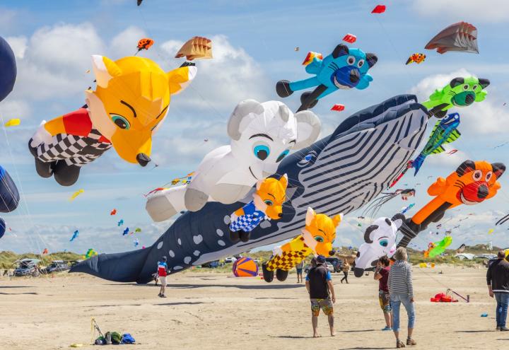 Drachenfest im Norden: Hoch lasst sie fliegen!