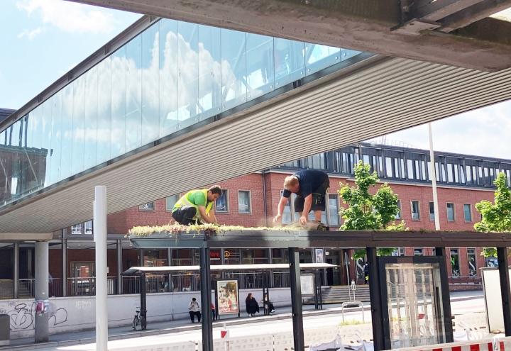 Grüner Warten – direkt am Hauptbahnhof