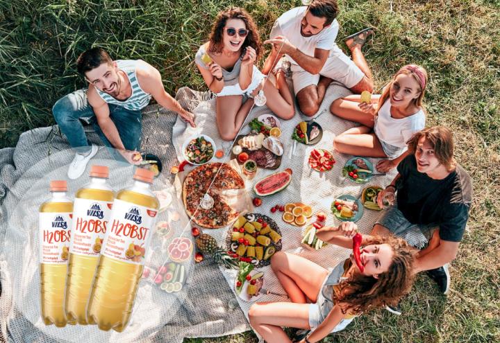 Vilsa Picknick 