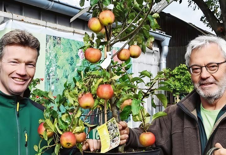100 Jahre Dittmann: Die Vielfalt der Äpfel 