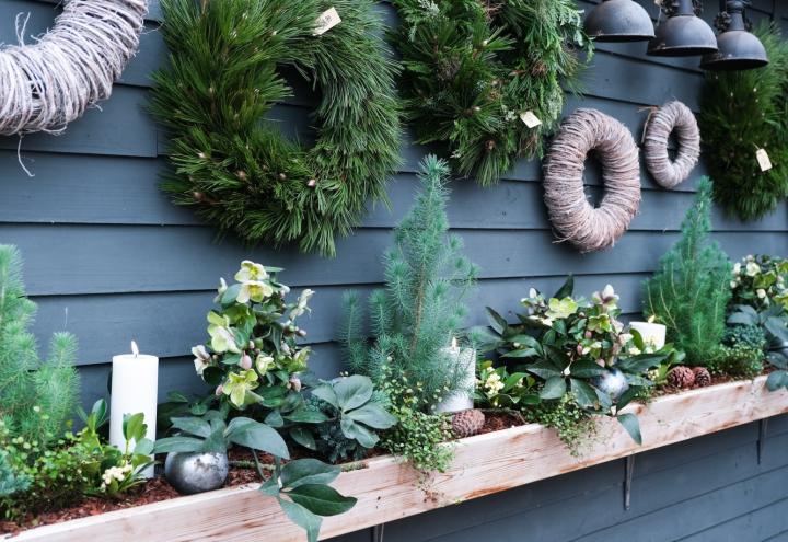 Adventsausstellung in Nortorf bei Gärtnerei Schnack 