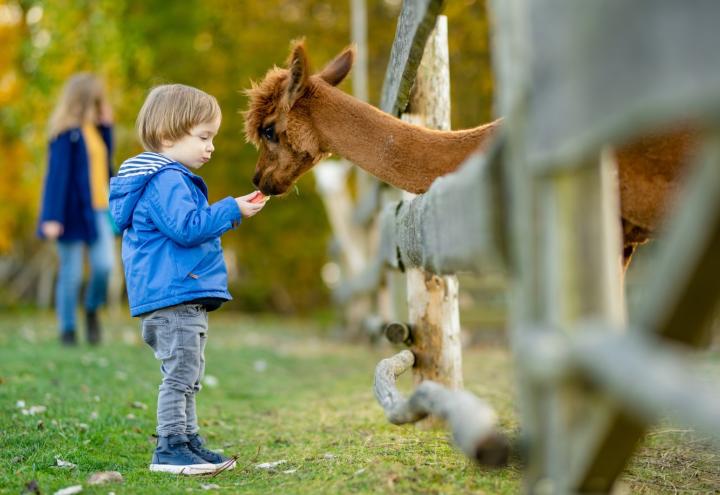 7 Tipps zu Ostern mit der Familie in Kiel