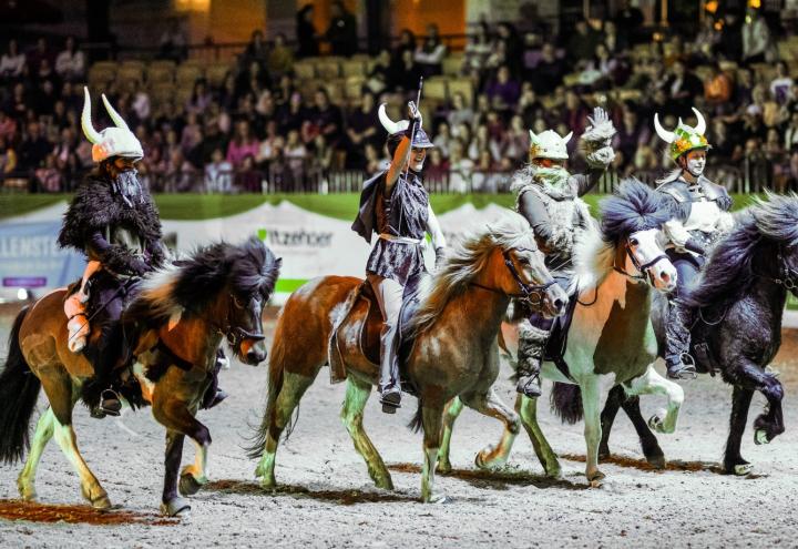 Nordpferd 2026: Top-Programmen und Show-Rabatt für Kinder