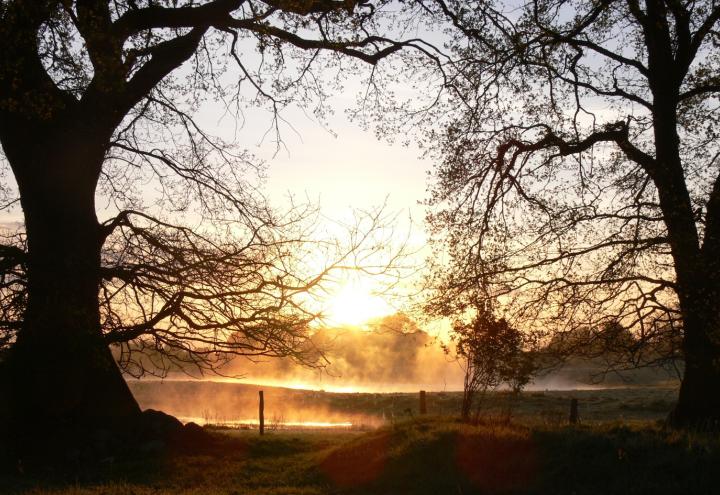 Raus aus dem Alltag, rein in die Natur