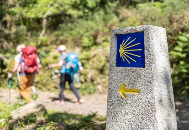 Pilgern im Norden: Deine Auszeit zwischen den Meeren
