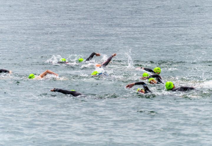 Lighthouse Swim 2026: Schwimmen mit Fördeblick 